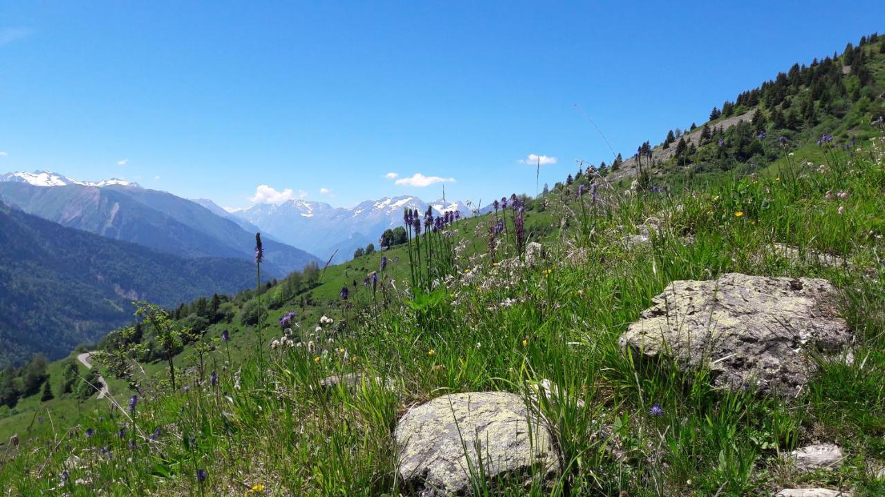Chalet Solneige Vaujany Ngoại thất bức ảnh